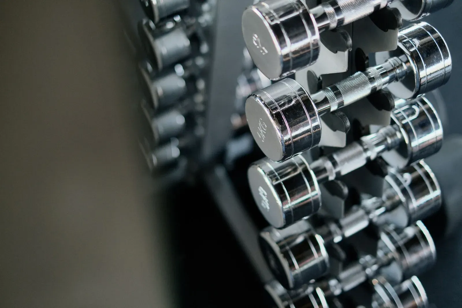 Rangée d'haltères alignés sur un rack dans une salle de musculation